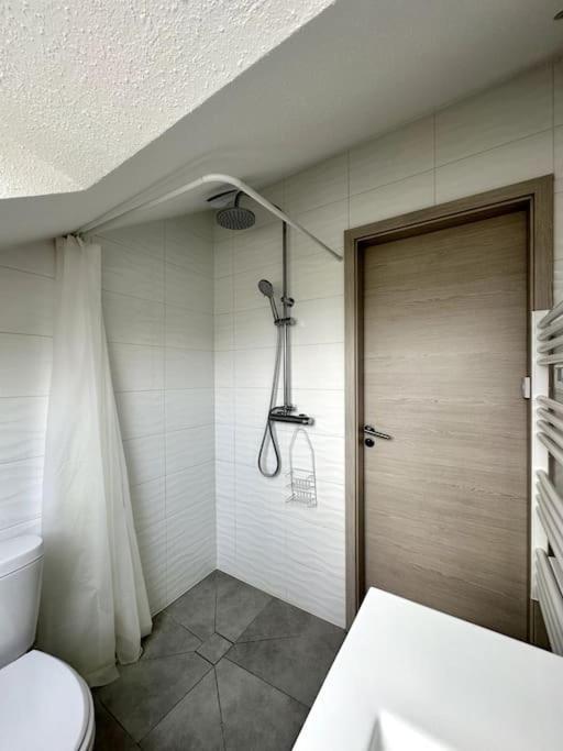 Studio Tout Equipe Aux Pieds Des Vosges Leimbach Екстер'єр фото
